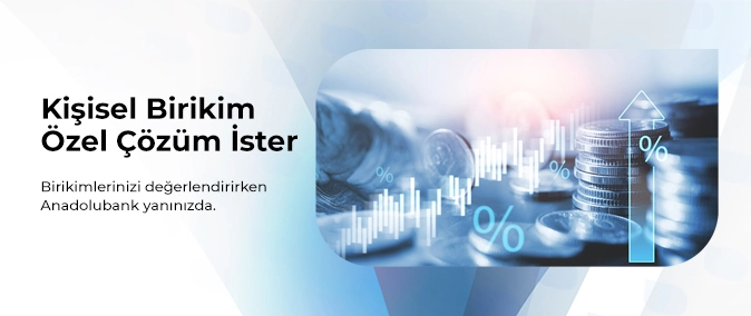 Birikim ve Mevduat