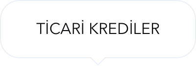 Firmanızın finansal<br>ihtiyaçlarında yanınızdayız!